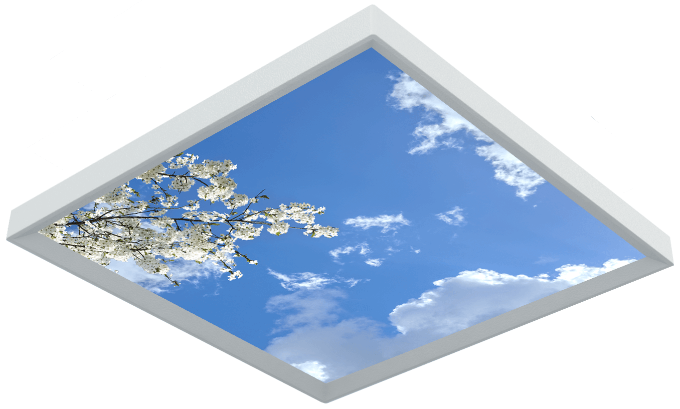 plafond ciel LED